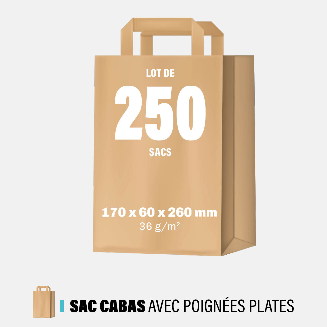 sac-cabas-papier-poignees-plates-RPAC2